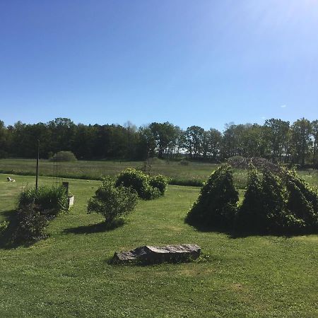 Liten Stuga Mitt I Naturen Pa Kinnekulle Hällekis Extérieur photo